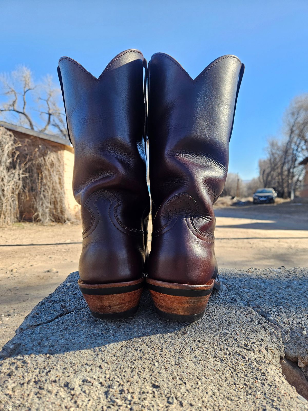 Photo by Sexual_Tyrannosaur on February 4, 2026 of the Nicks Palouse in Seidel 1964 Brown Double Shot & Seidel 1964 Walnut.