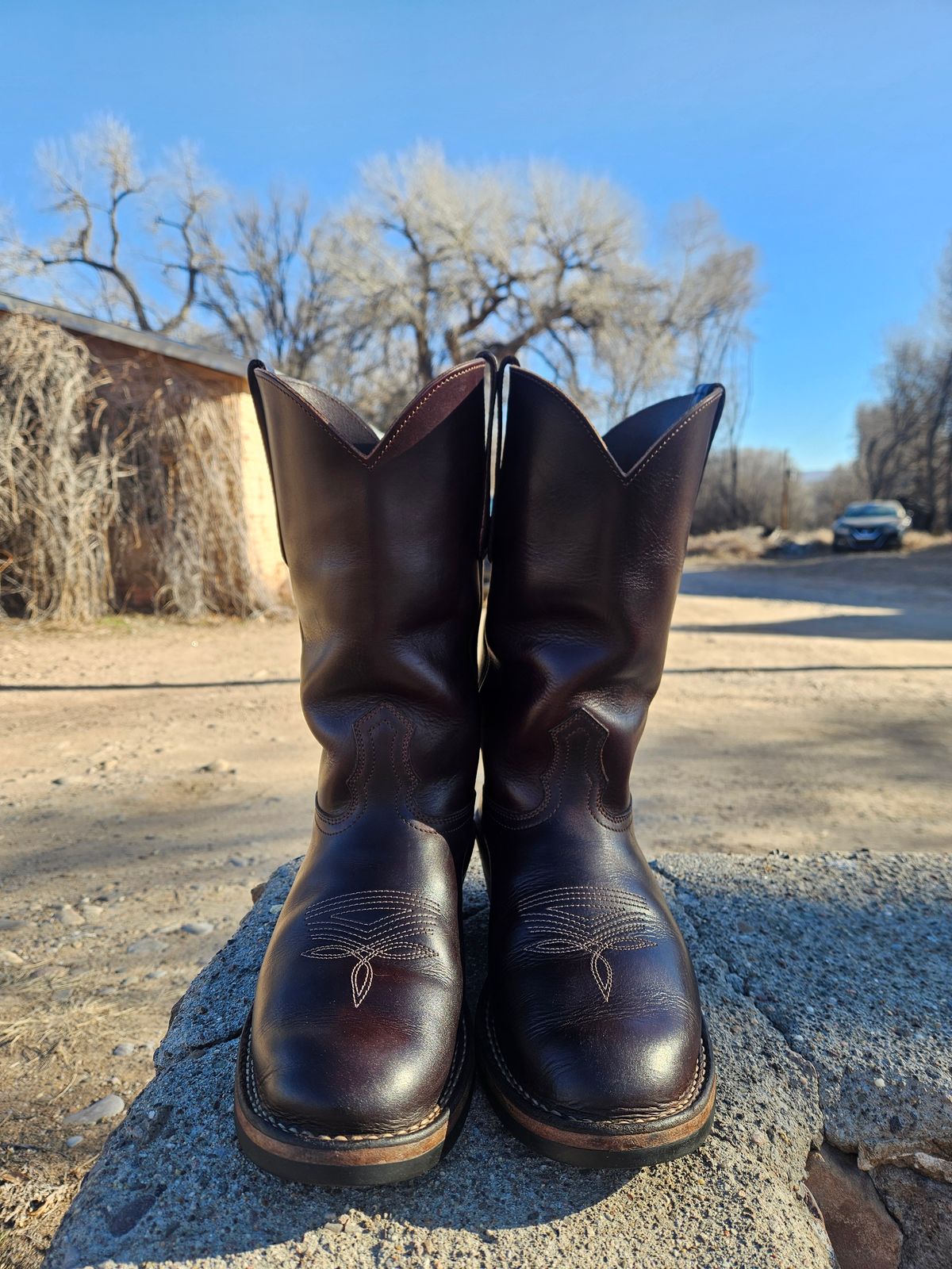 Photo by Sexual_Tyrannosaur on February 4, 2026 of the Nicks Palouse in Seidel 1964 Brown Double Shot & Seidel 1964 Walnut.