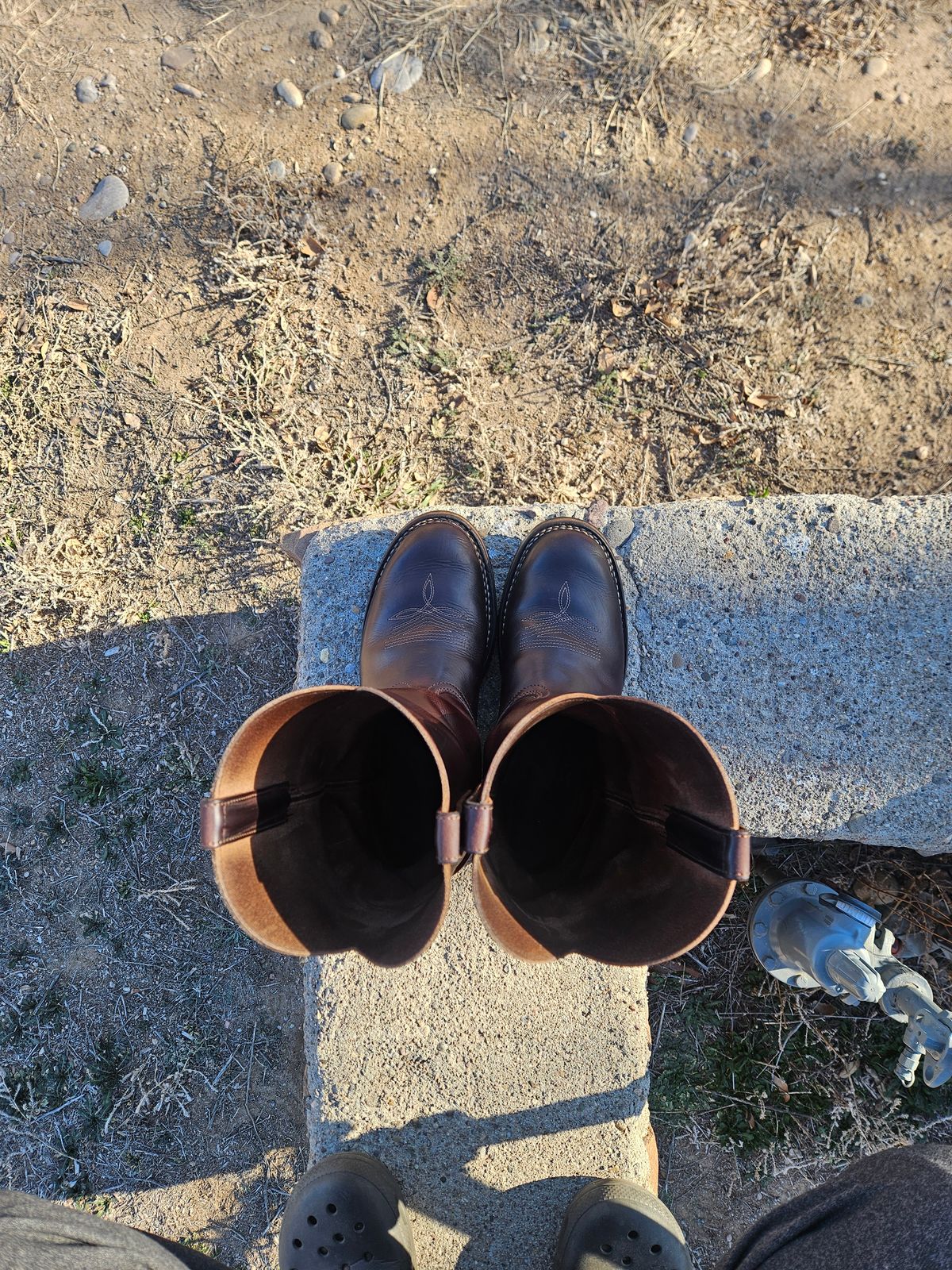 Photo by Sexual_Tyrannosaur on February 4, 2026 of the Nicks Palouse in Seidel 1964 Brown Double Shot & Seidel 1964 Walnut.