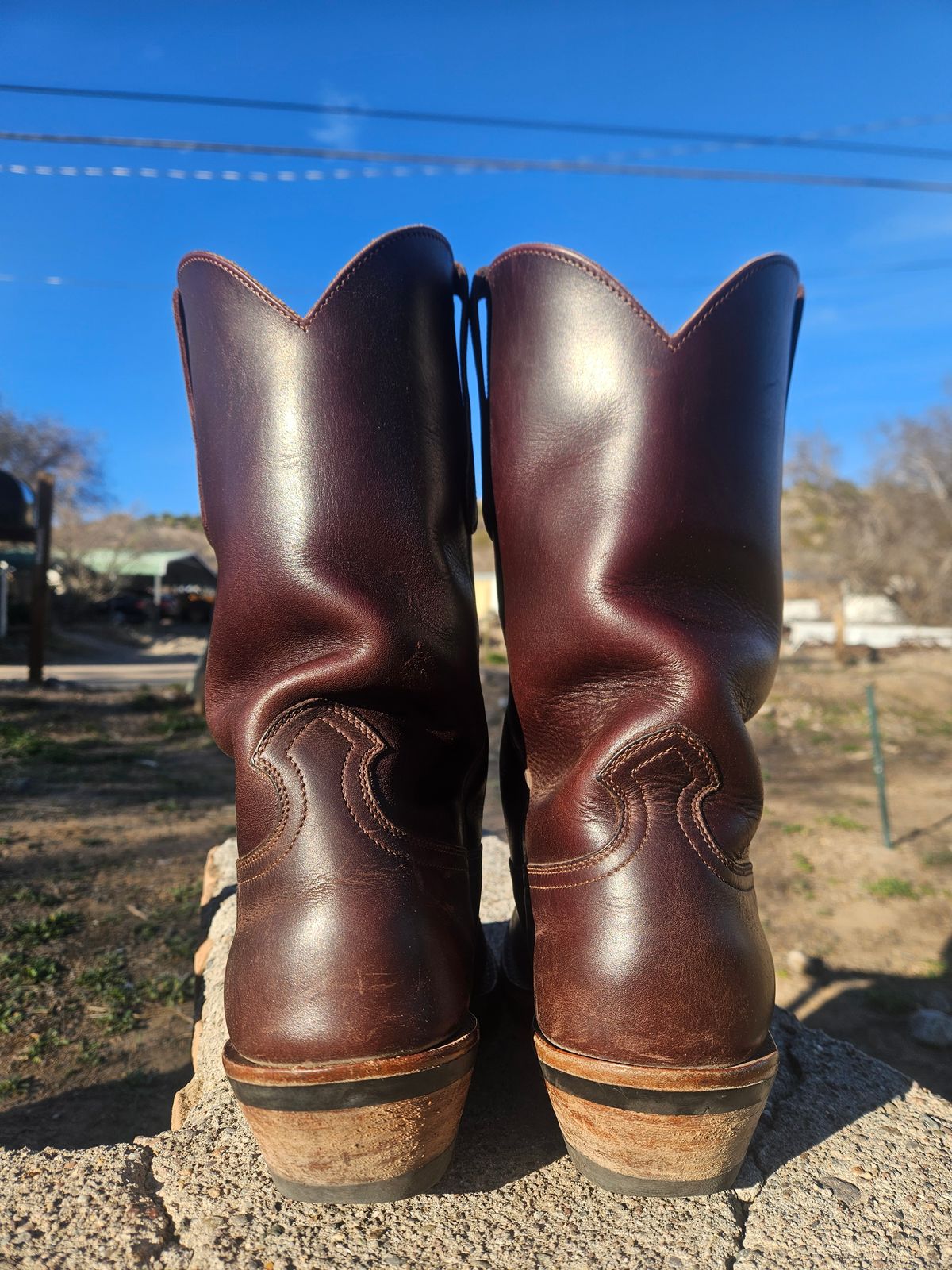 Photo by Sexual_Tyrannosaur on March 2, 2026 of the Nicks Palouse in Seidel 1964 Brown Double Shot & Seidel 1964 Walnut.