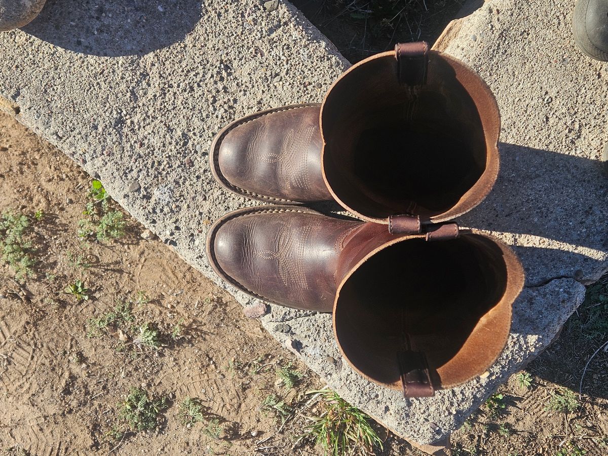 Photo by Sexual_Tyrannosaur on March 2, 2026 of the Nicks Palouse in Seidel 1964 Brown Double Shot & Seidel 1964 Walnut.