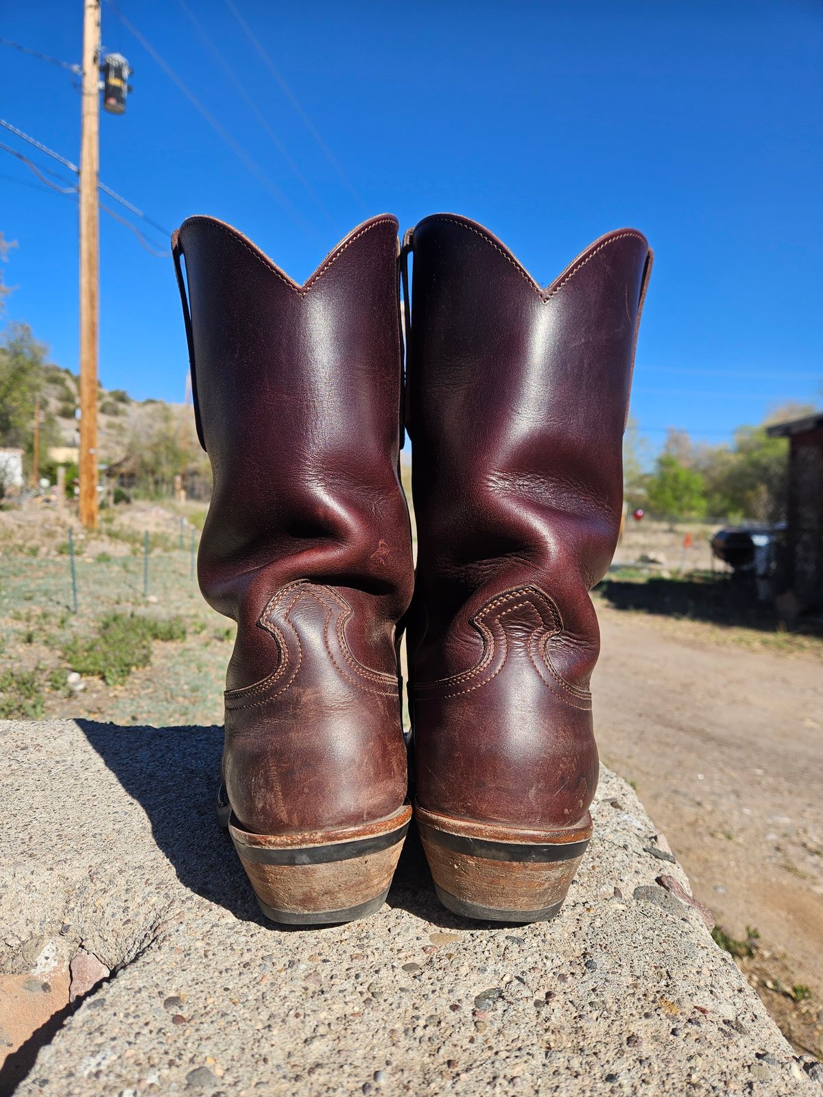 Photo by Sexual_Tyrannosaur on April 5, 2026 of the Nicks Palouse in Seidel 1964 Brown Double Shot & Seidel 1964 Walnut.