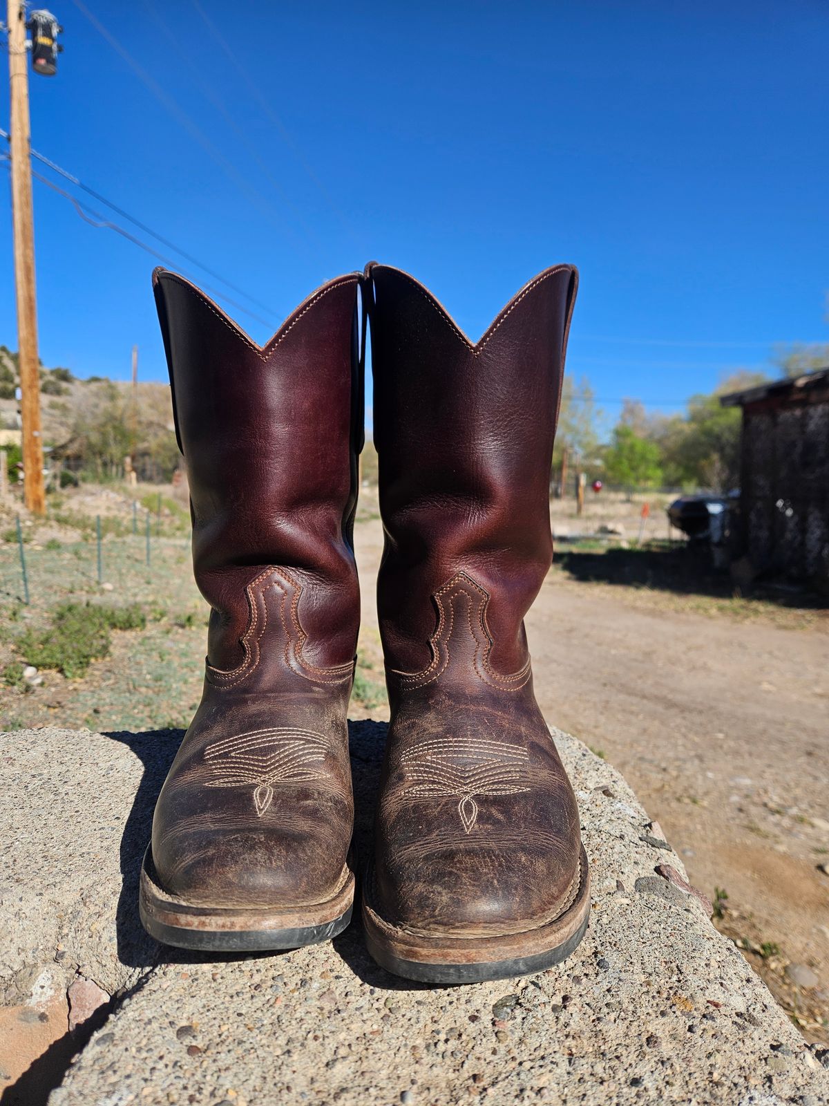 Photo by Sexual_Tyrannosaur on April 5, 2026 of the Nicks Palouse in Seidel 1964 Brown Double Shot & Seidel 1964 Walnut.