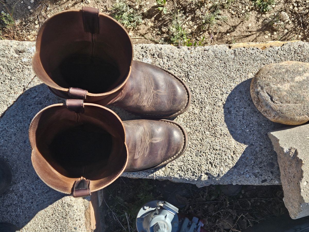 Photo by Sexual_Tyrannosaur on April 5, 2026 of the Nicks Palouse in Seidel 1964 Brown Double Shot & Seidel 1964 Walnut.