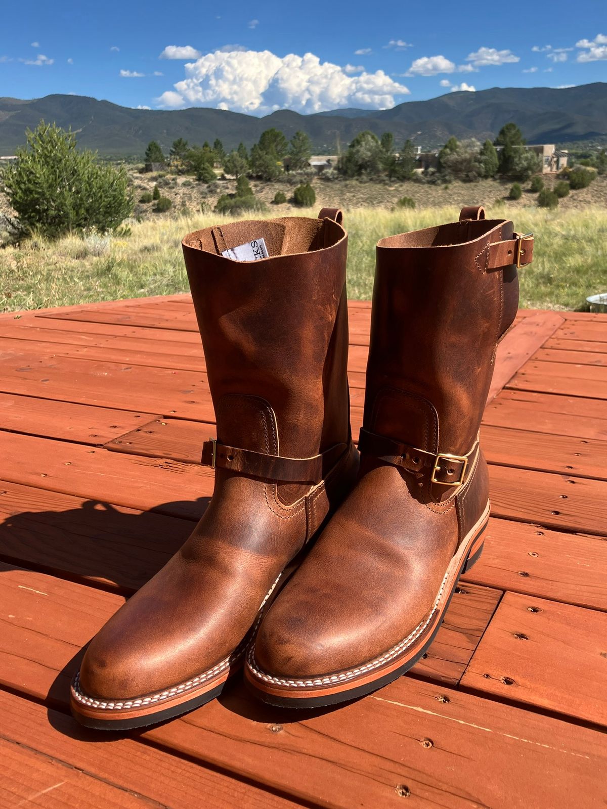 Photo by bootheel on September 17, 2025 of the Nicks Pullman in Italian Brown Cypress.