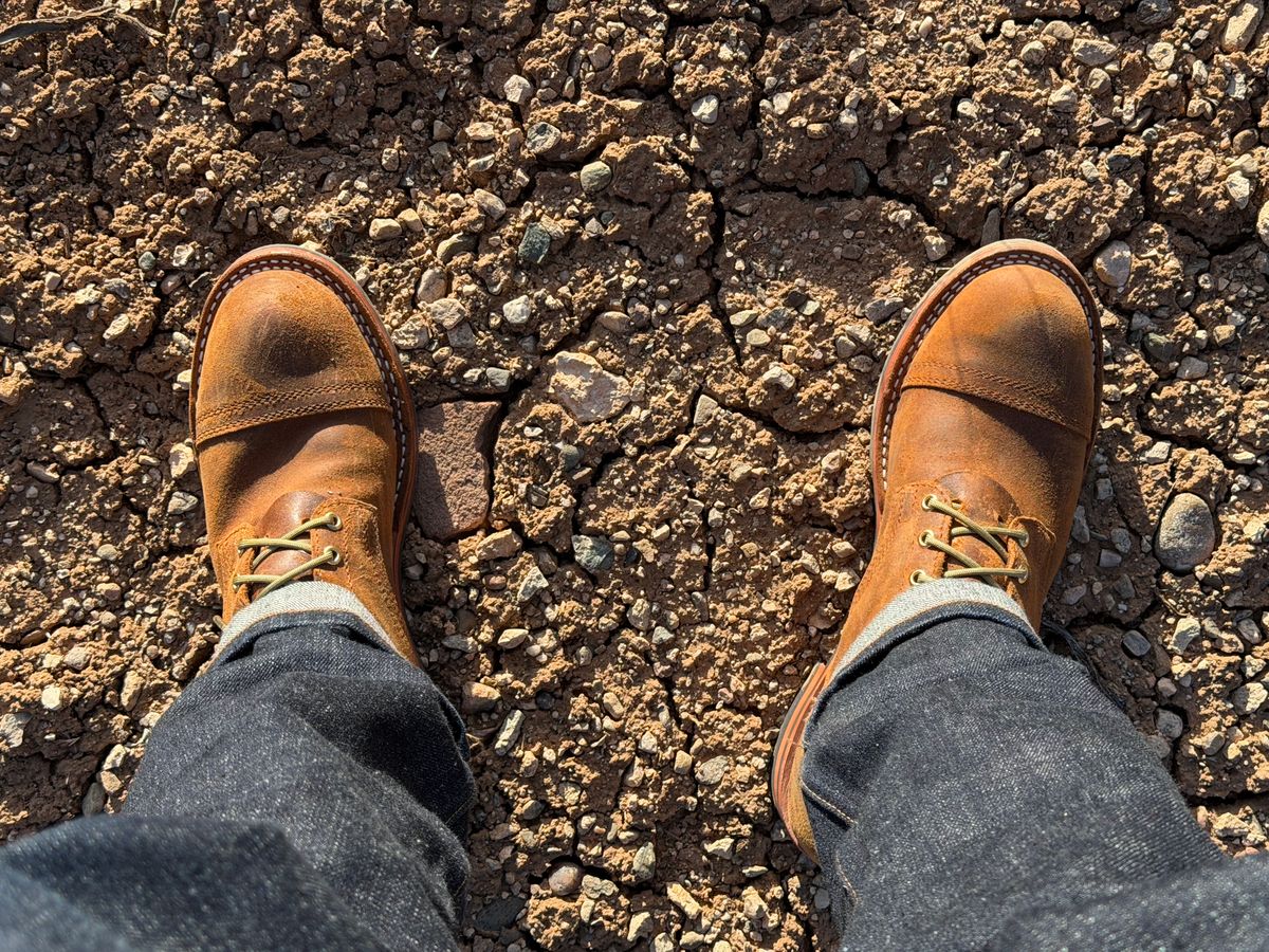 Photo by bootheel on February 27, 2026 of the Nicks MTO in C.F. Stead Wheatbuck Waxy Commander Suede.