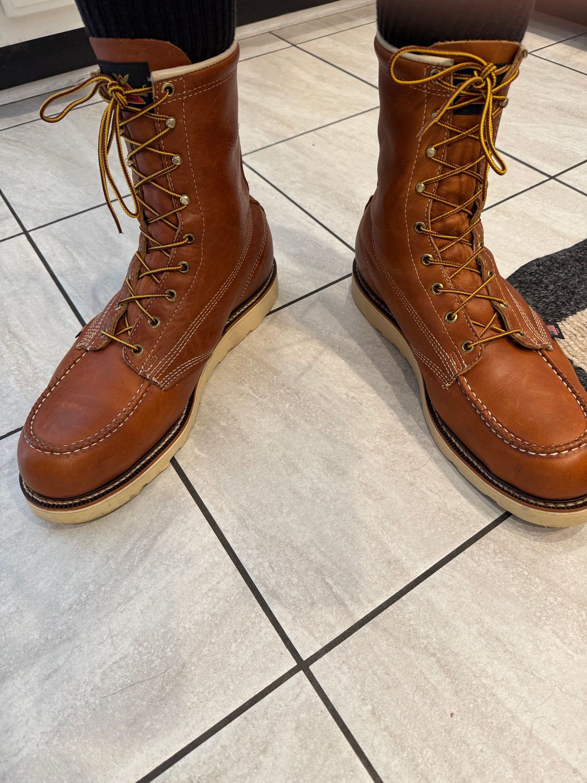 Photo by thwompd on March 8, 2025 of the Thorogood American Heritage 8" Moc Toe in Tobacco Gladiator Oil-Tanned.