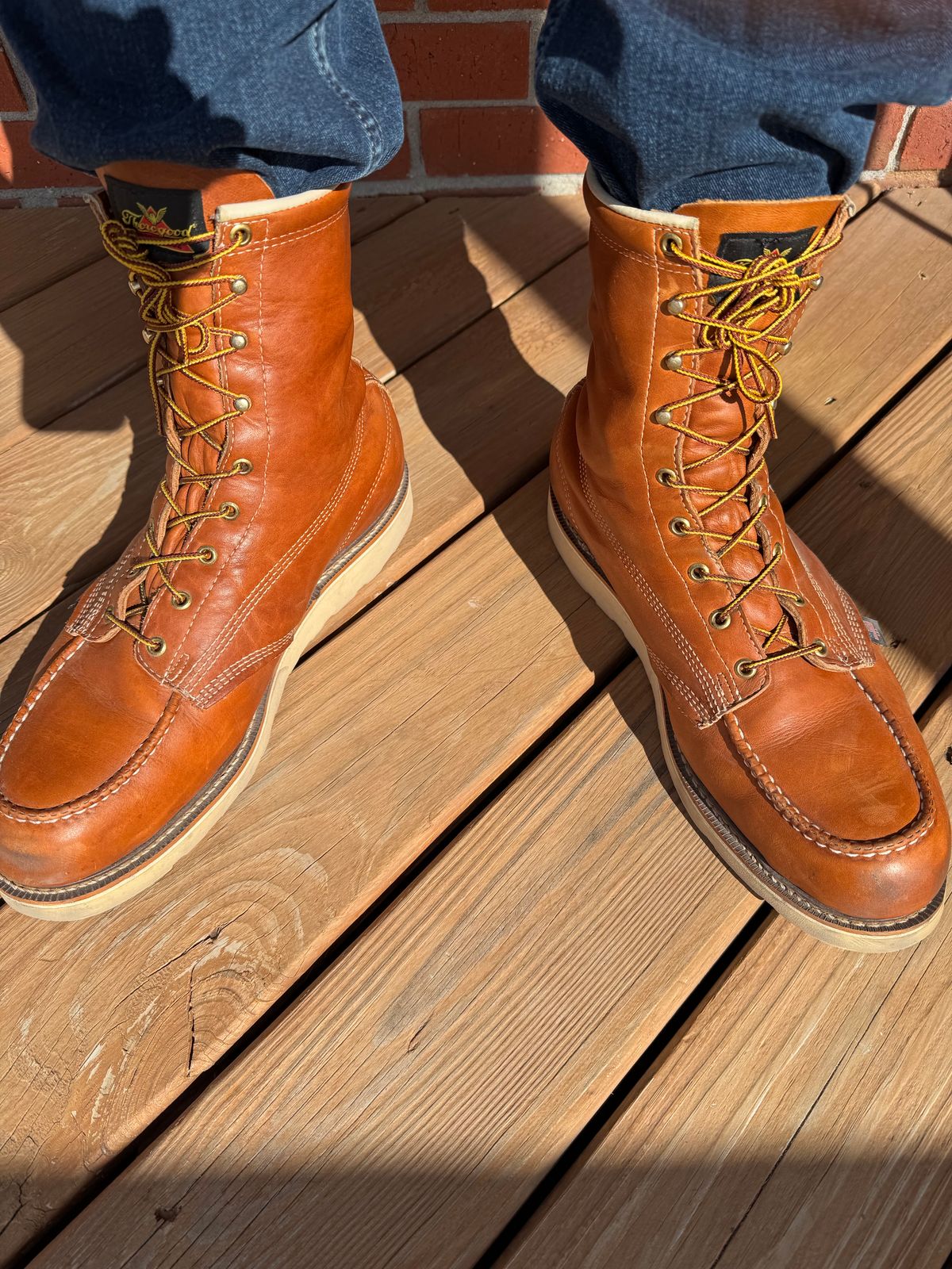 Photo by thwompd on March 26, 2025 of the Thorogood American Heritage 8" Moc Toe in Tobacco Gladiator Oil-Tanned.