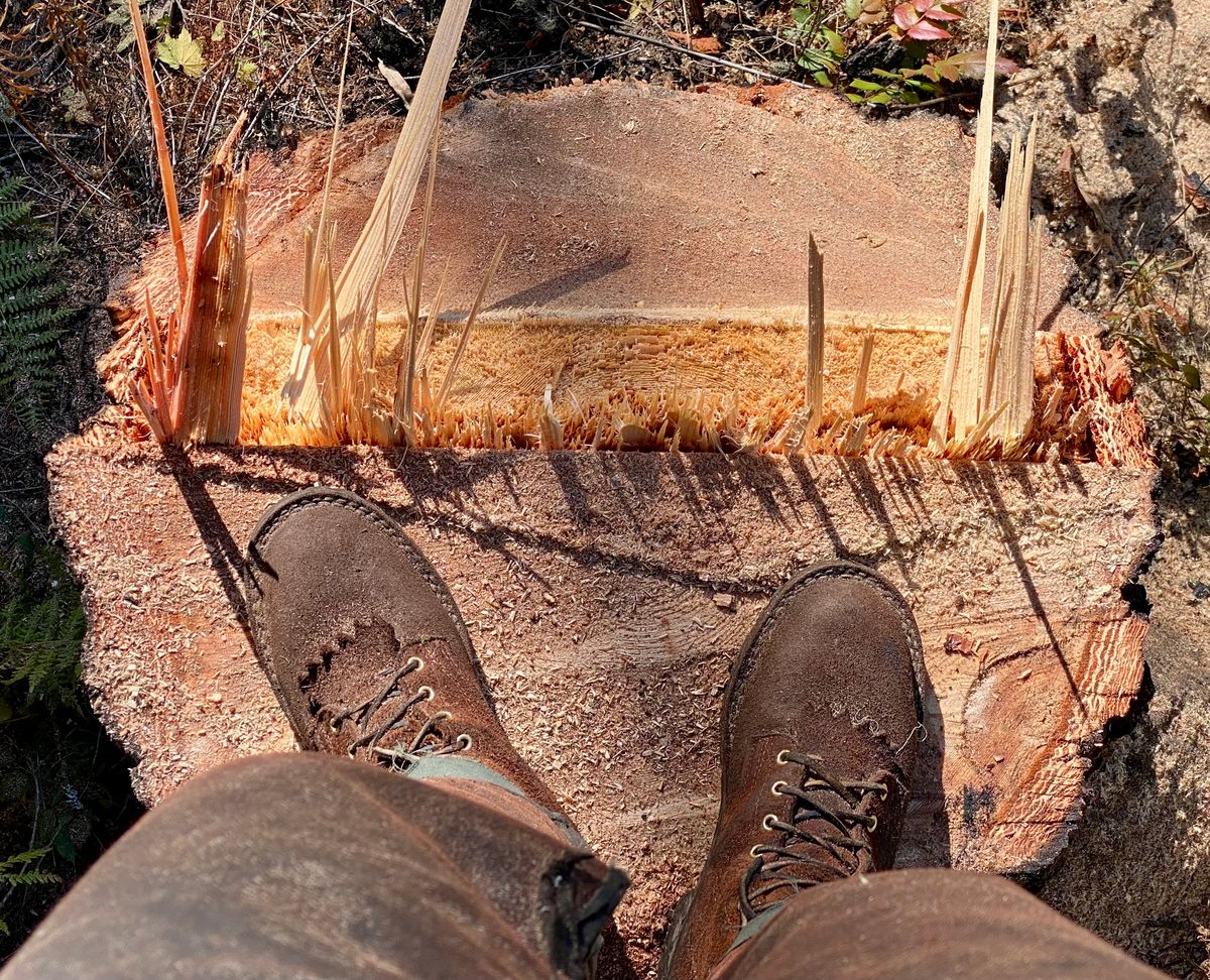 Photo by SerotinousCone on October 20, 2025 of the Frank's Boots Ground Pounder in Seidel Chocolate Oil Tan Roughout.