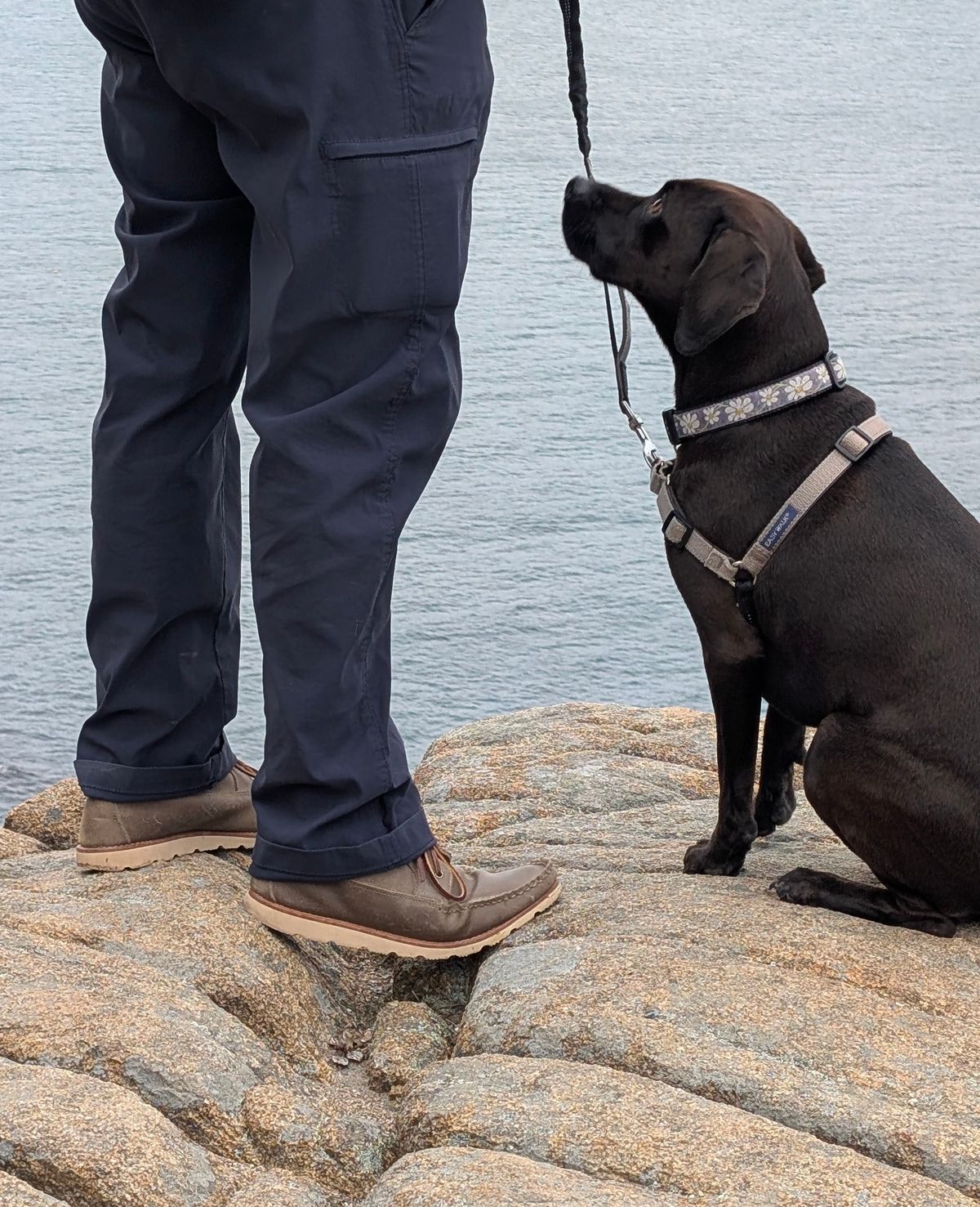 Photo by donkey008 on November 3, 2025 of the Rancourt & Co. Acadia Chukka Redux in C.F. Stead Driftwood Waxy Commander.