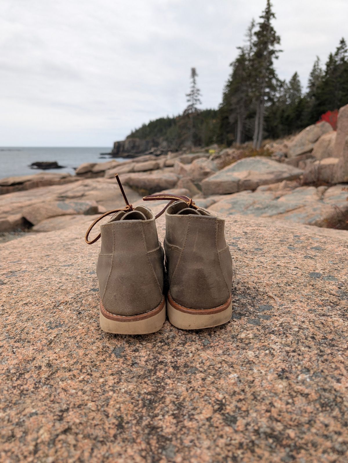 Photo by donkey008 on November 3, 2025 of the Rancourt & Co. Acadia Chukka Redux in C.F. Stead Driftwood Waxy Commander.