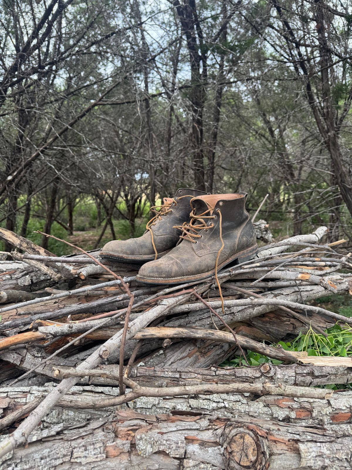 Photo by leopnardork on August 2, 2025 of the Viberg Service Boot BCT in Stone Waxed Kudu.