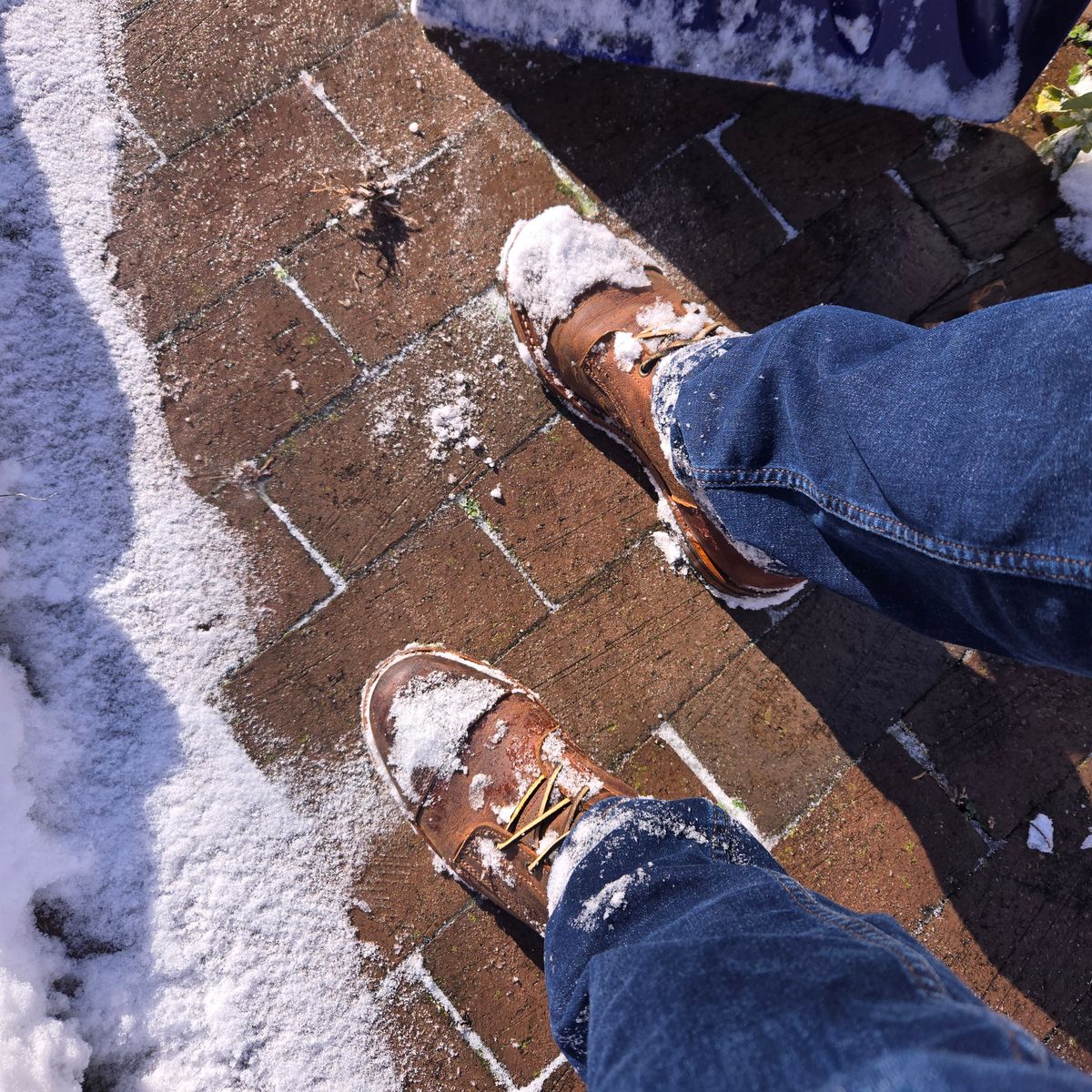 Photo by newguyhereNJ on January 6, 2025 of the Truman Cap Toe Boot in Cognac Teton Stag.