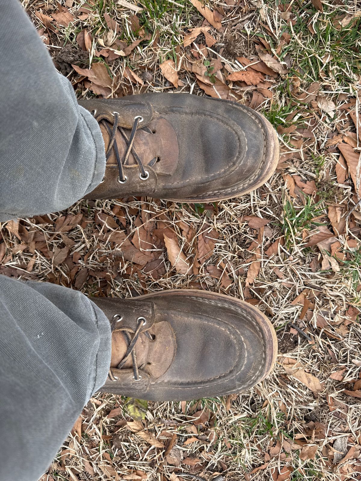 Photo by AFrat on March 5, 2025 of the Nicks Moc Toe in Tasman Leather Group Coyote Roughout.