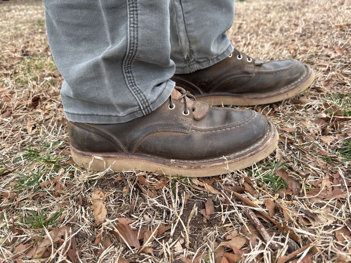 Photo by AFrat on March 5, 2025 of the Nicks Moc Toe in Tasman Leather Group Coyote Roughout.