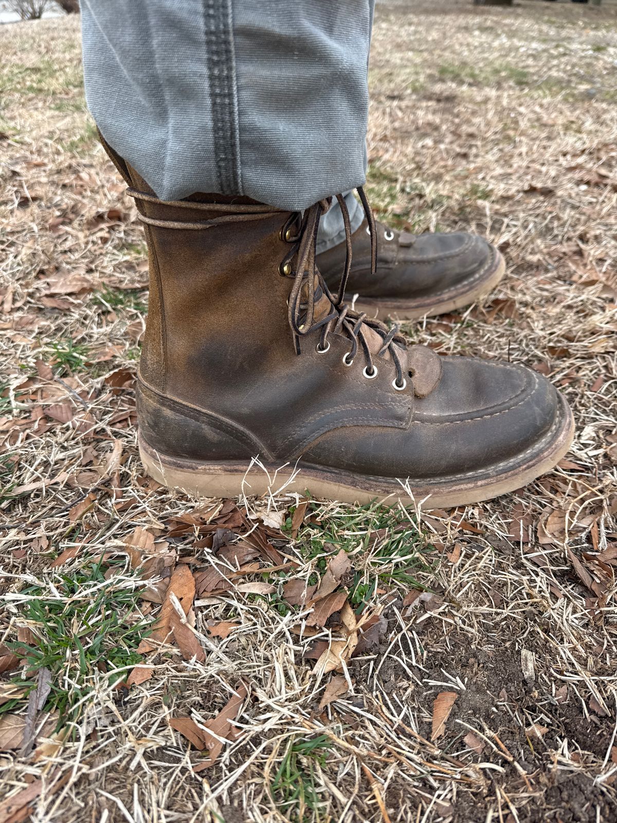 Photo by AFrat on March 5, 2025 of the Nicks Moc Toe in Tasman Leather Group Coyote Roughout.