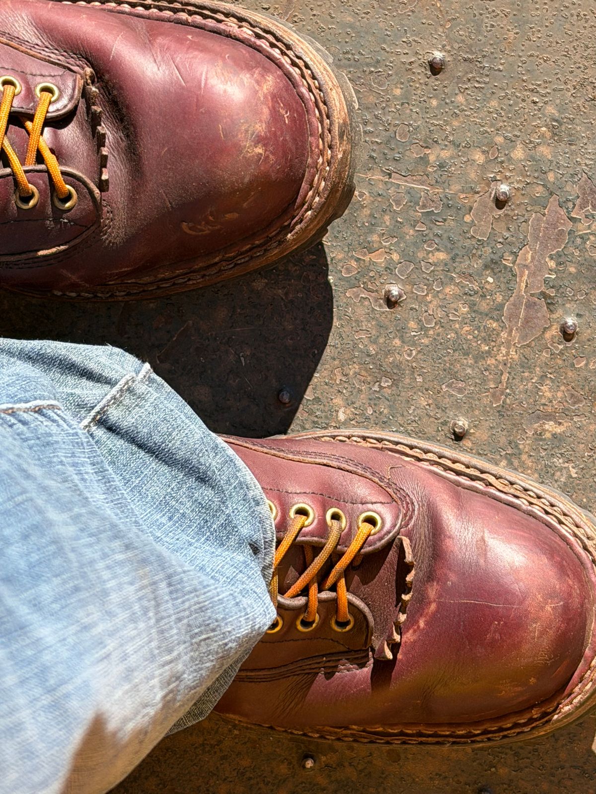 Photo by rhinoaz on December 1, 2025 of the White's Smokejumper in Cxl Burgandy.