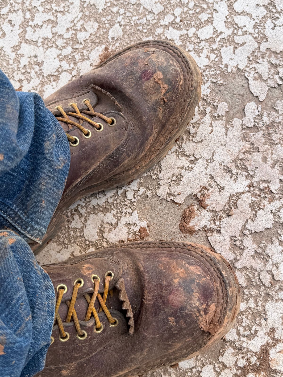 Photo by rhinoaz on March 5, 2026 of the White's Smokejumper in Cxl Burgandy.