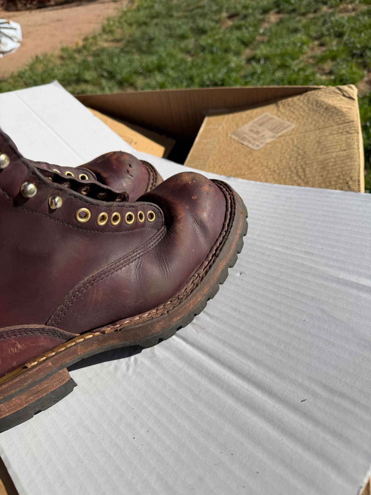 Photo by rhinoaz on April 4, 2026 of the White's Smokejumper in Cxl Burgandy.