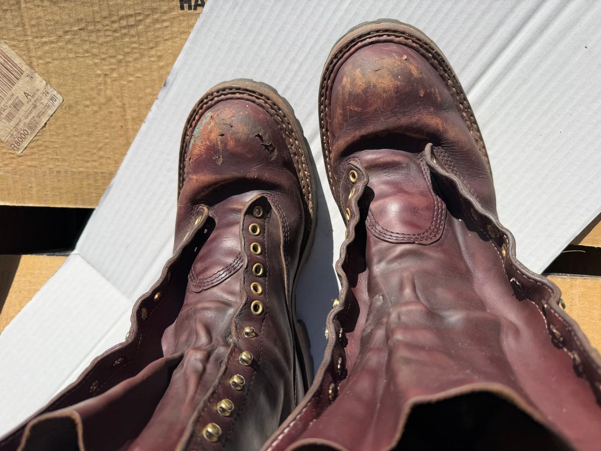 Photo by rhinoaz on April 4, 2026 of the White's Smokejumper in Cxl Burgandy.