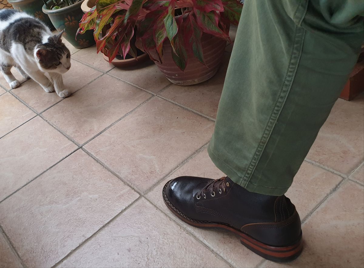 Photo by seeking_fullfilment on December 2, 2024 of the Nicks Officer in Horween Brown Waxed Flesh.
