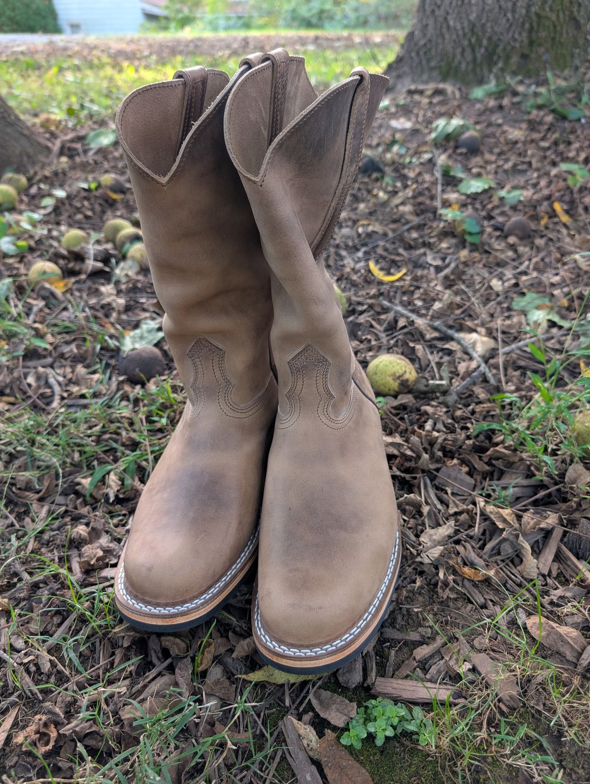 Photo by thetable123 on October 1, 2025 of the Nicks Palouse in Horween natural Predator.