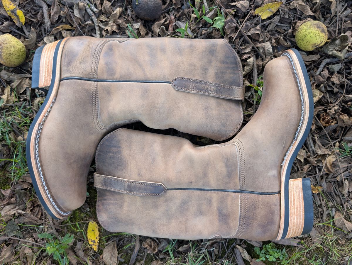 Photo by thetable123 on October 1, 2025 of the Nicks Palouse in Horween natural Predator.