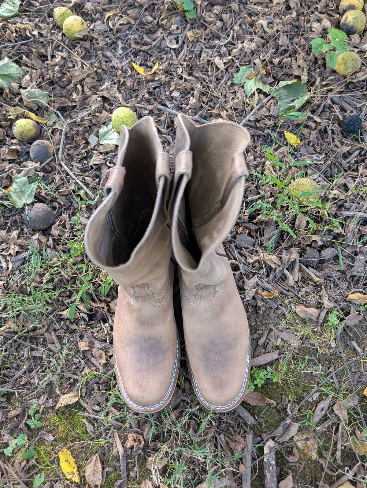 Photo by thetable123 on October 1, 2025 of the Nicks Palouse in Horween natural Predator.