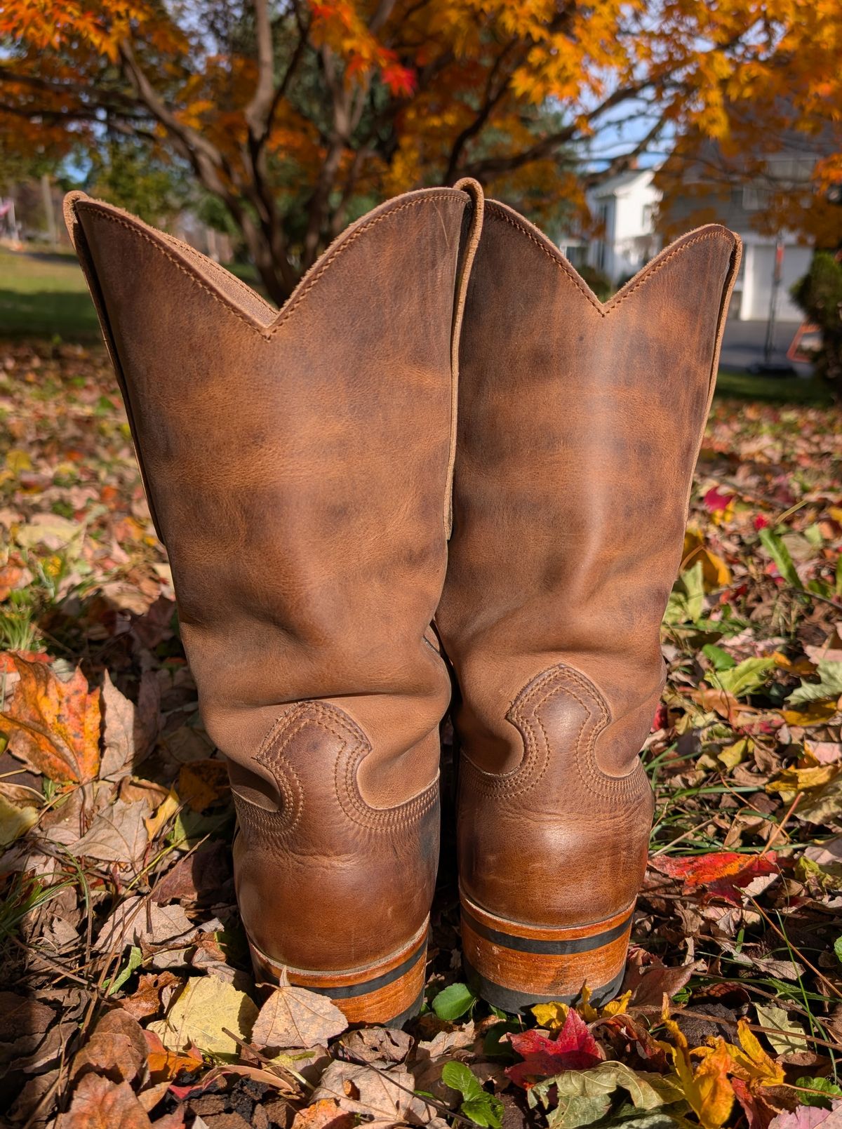 Photo by thetable123 on November 4, 2025 of the Nicks Palouse in Horween natural Predator.
