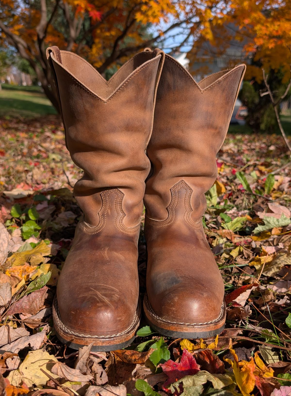 Photo by thetable123 on November 4, 2025 of the Nicks Palouse in Horween natural Predator.
