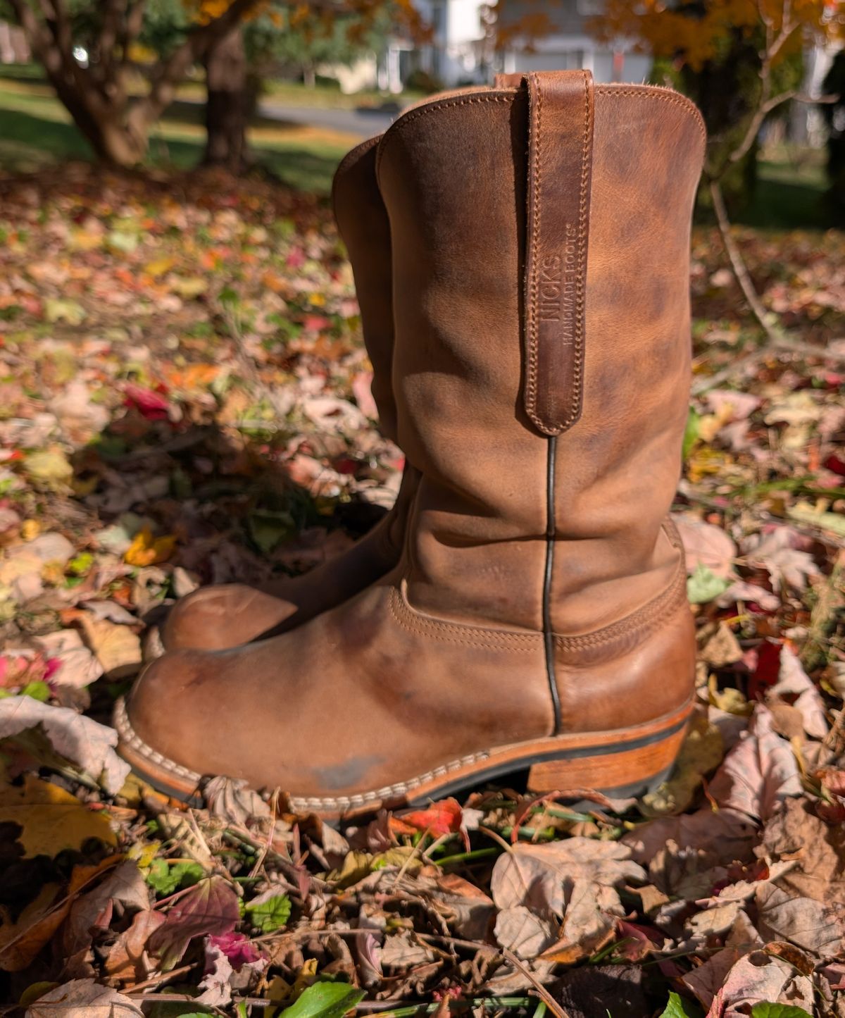 Photo by thetable123 on November 4, 2025 of the Nicks Palouse in Horween natural Predator.