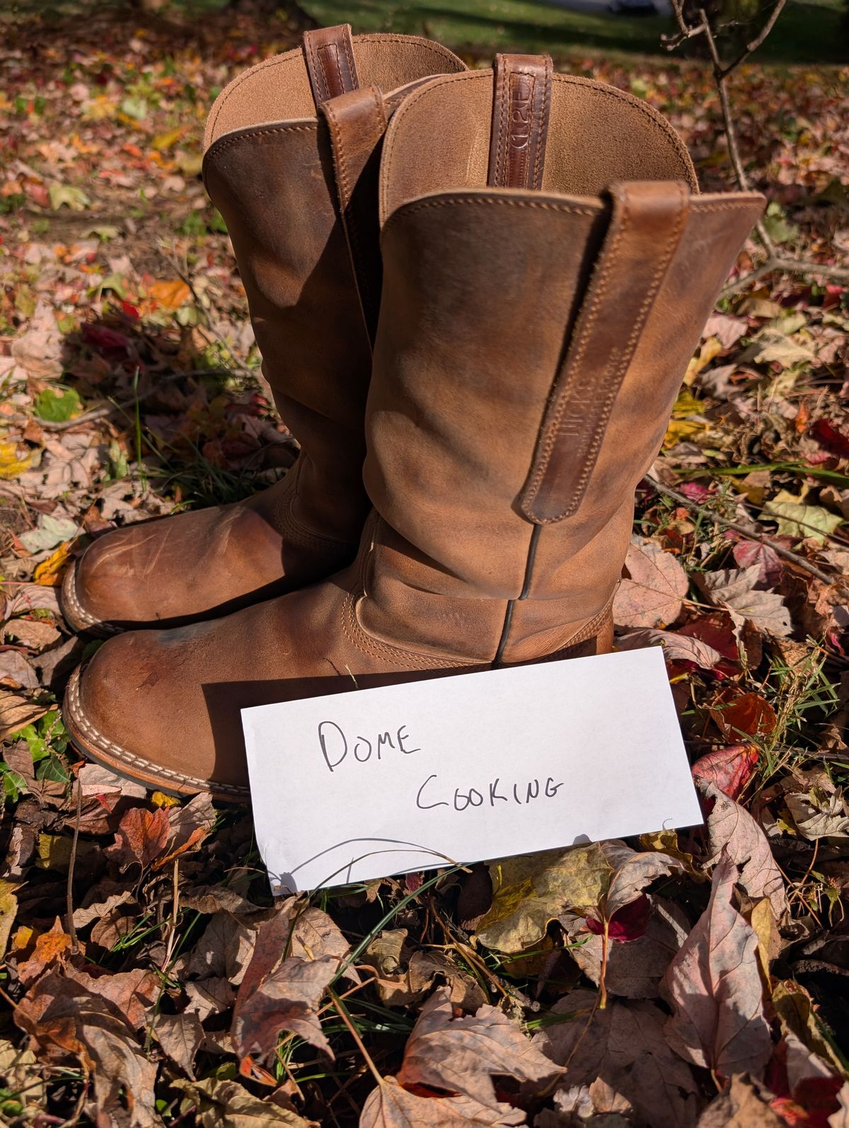 Photo by thetable123 on November 4, 2025 of the Nicks Palouse in Horween natural Predator.