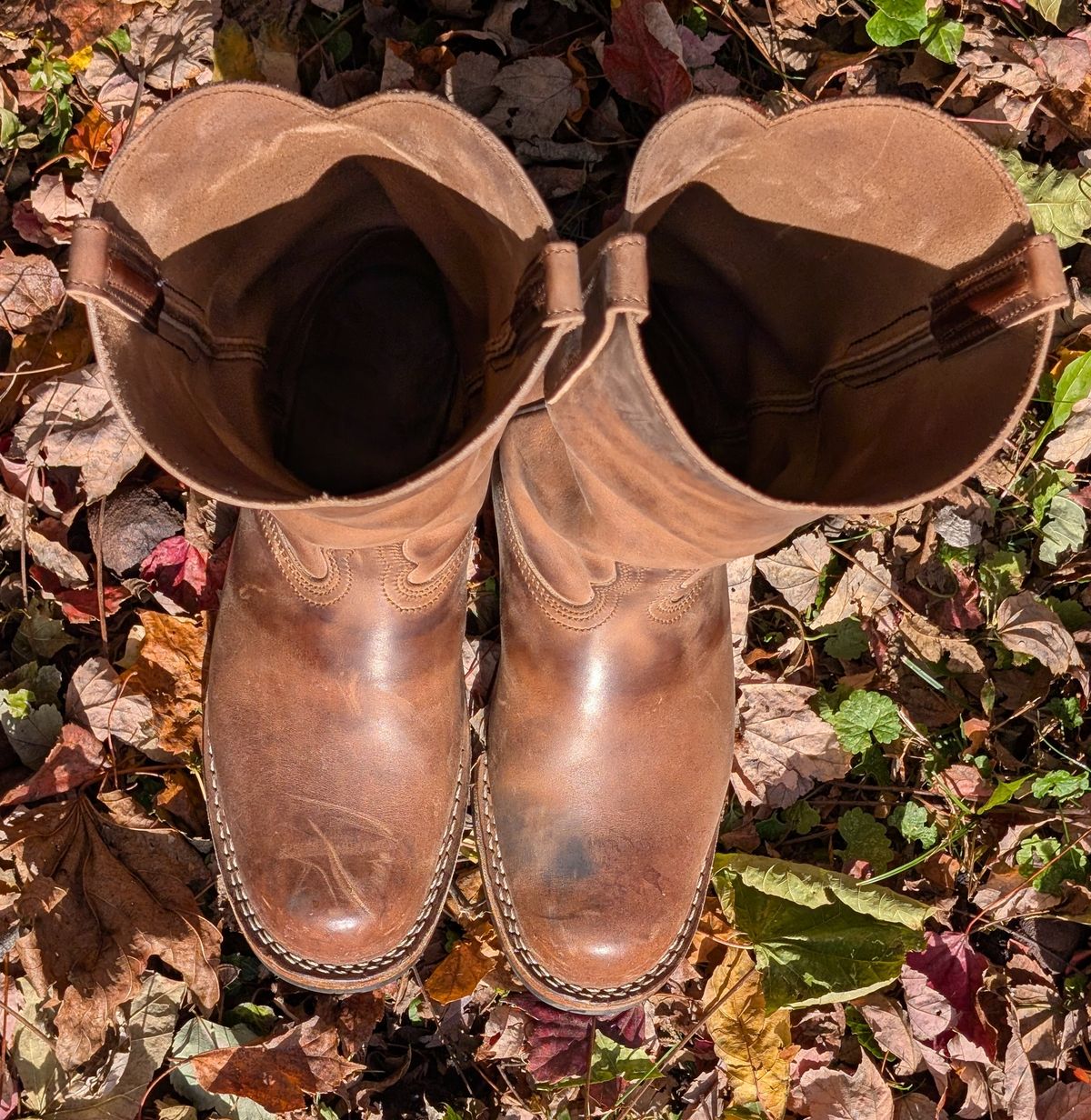 Photo by thetable123 on November 4, 2025 of the Nicks Palouse in Horween natural Predator.