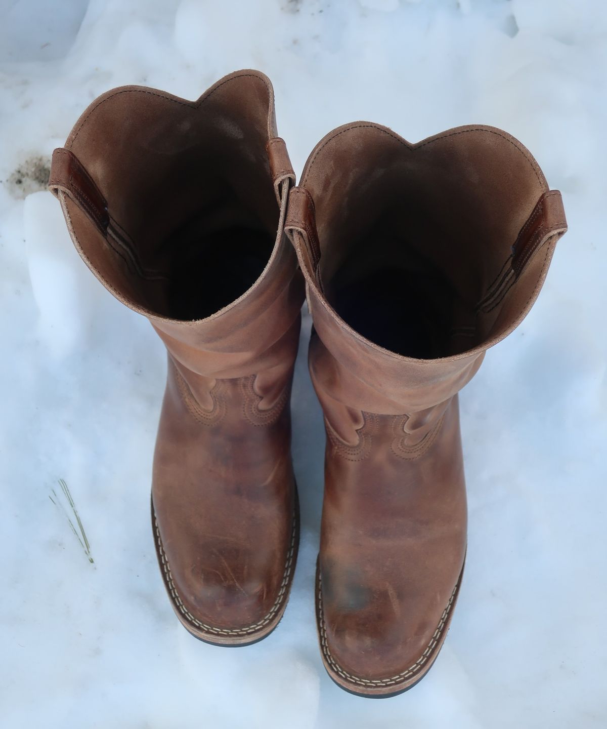 Photo by thetable123 on February 4, 2026 of the Nicks Palouse in Horween natural Predator.