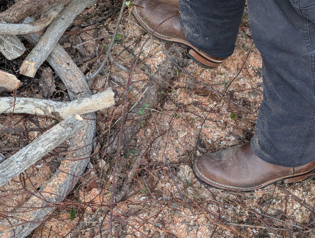 Photo by thetable123 on March 1, 2026 of the Nicks Palouse in Horween natural Predator.