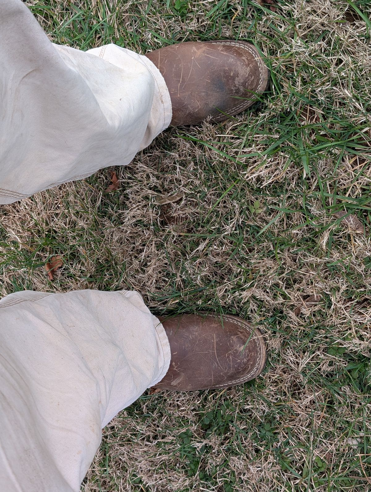 Photo by thetable123 on March 21, 2026 of the Nicks Palouse in Horween natural Predator.