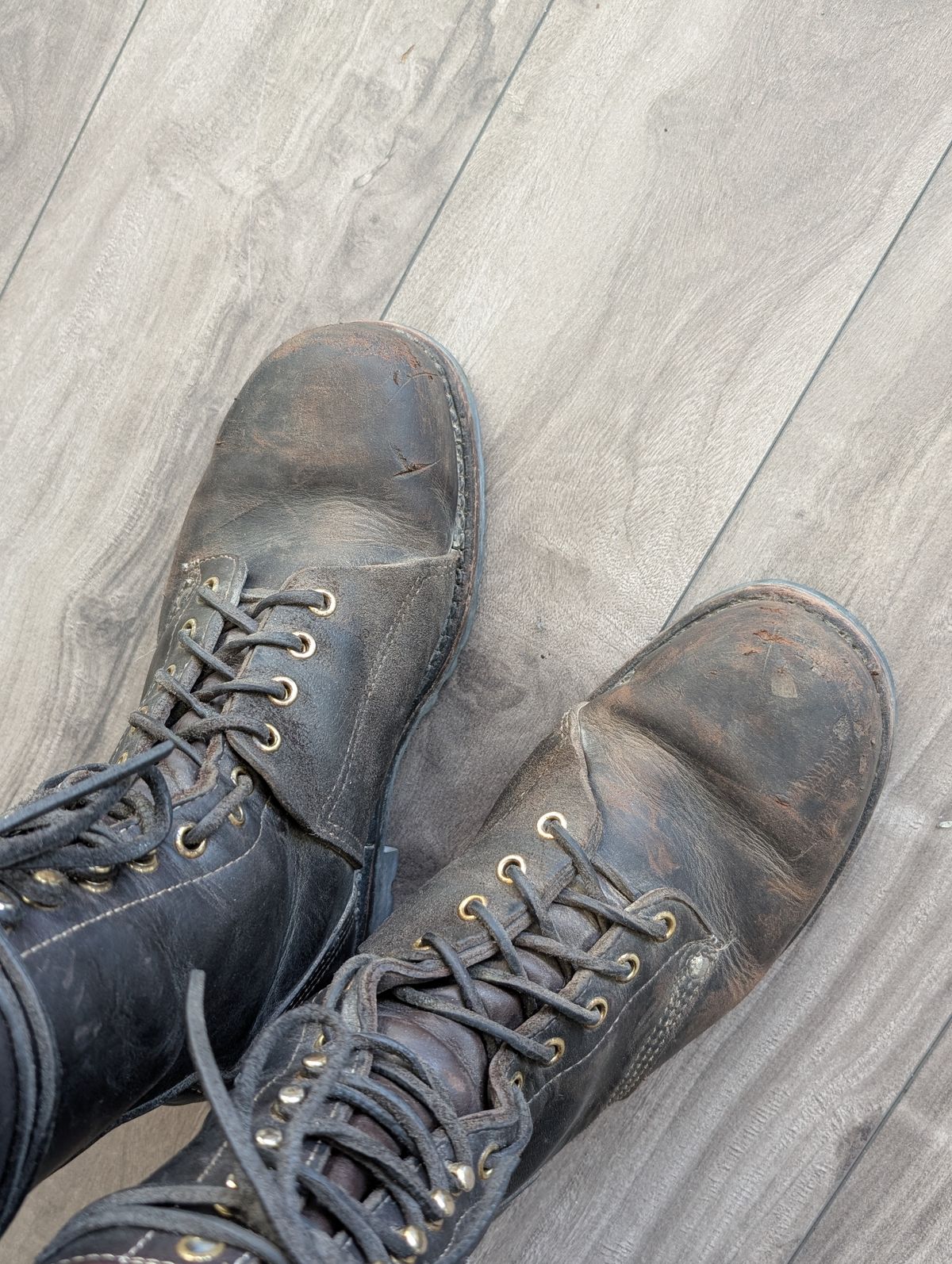 Photo by walkaboot on March 1, 2026 of the Dayton Boots 6410 CSA OHM Line Boot in Black Oil Tan.