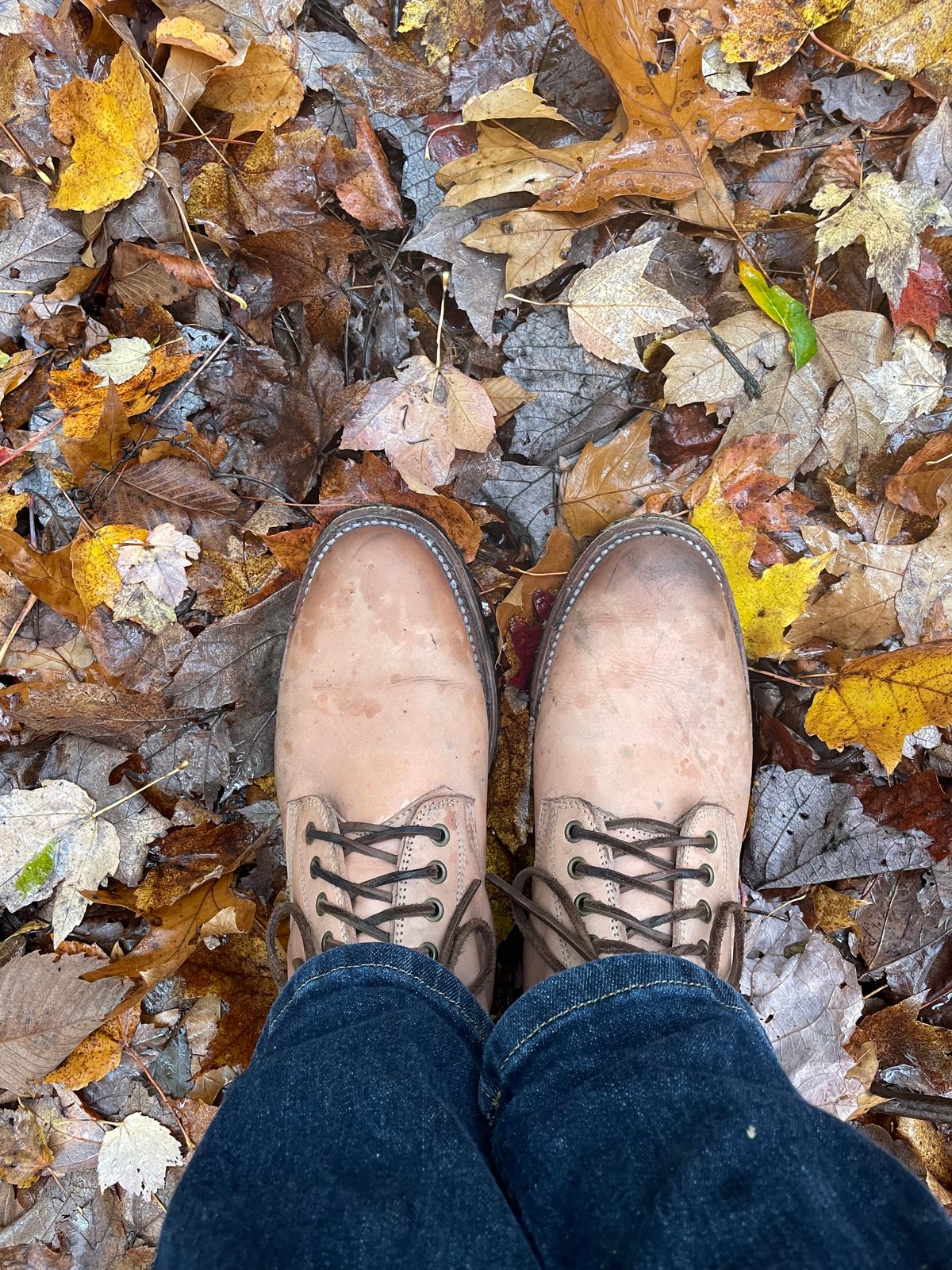 Photo by mrewest on October 24, 2025 of the Cordobes Type 1 Service Boot in Unknown Natural Veg Tan.
