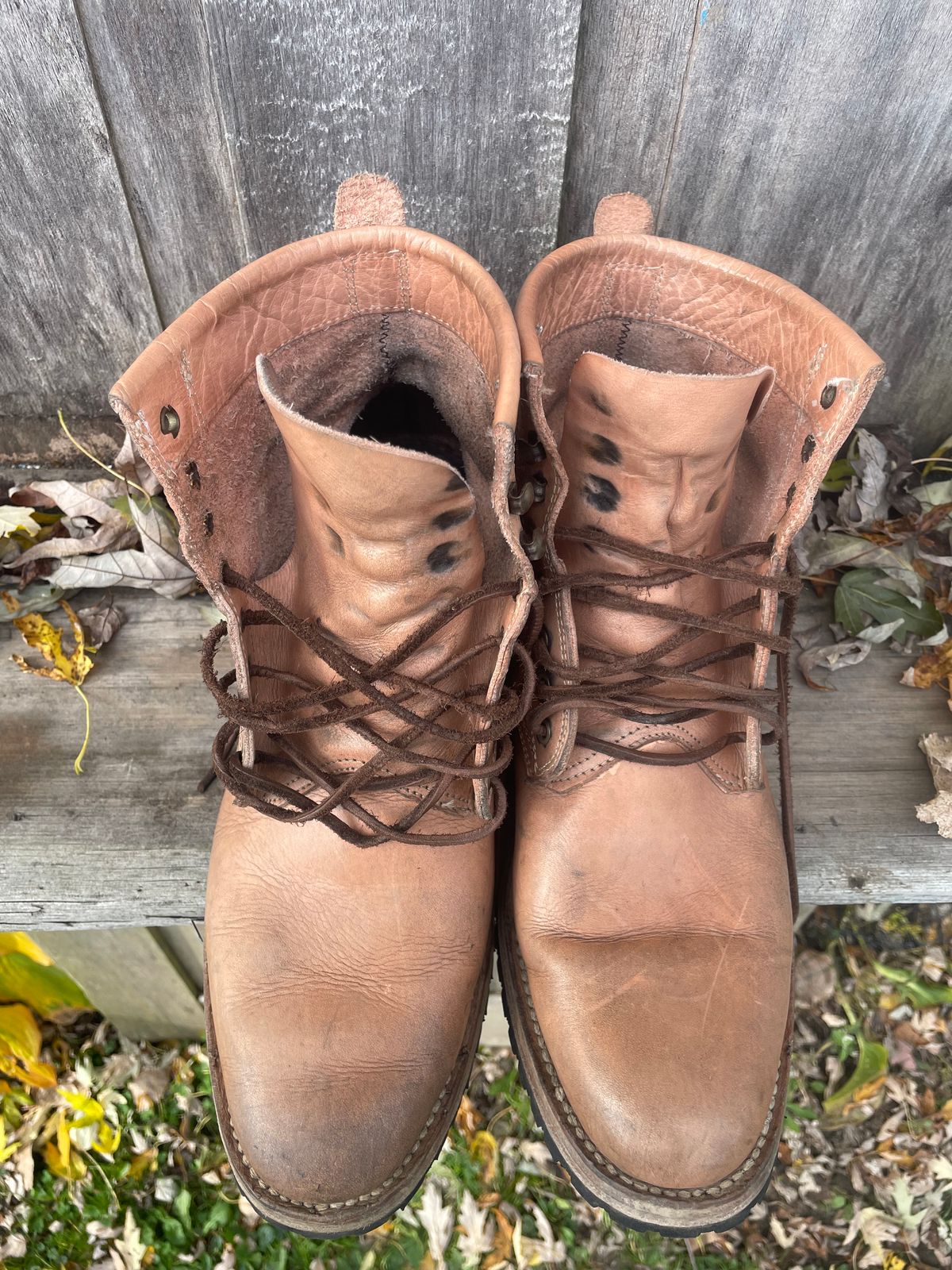 Photo by mrewest on November 3, 2025 of the Cordobes Type 1 Service Boot in Unknown Natural Veg Tan.