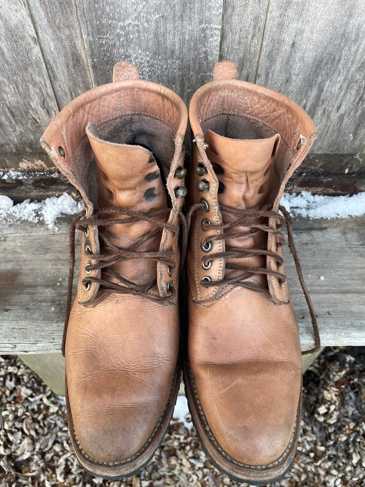 Photo by mrewest on December 1, 2025 of the Cordobes Type 1 Service Boot in Unknown Natural Veg Tan.