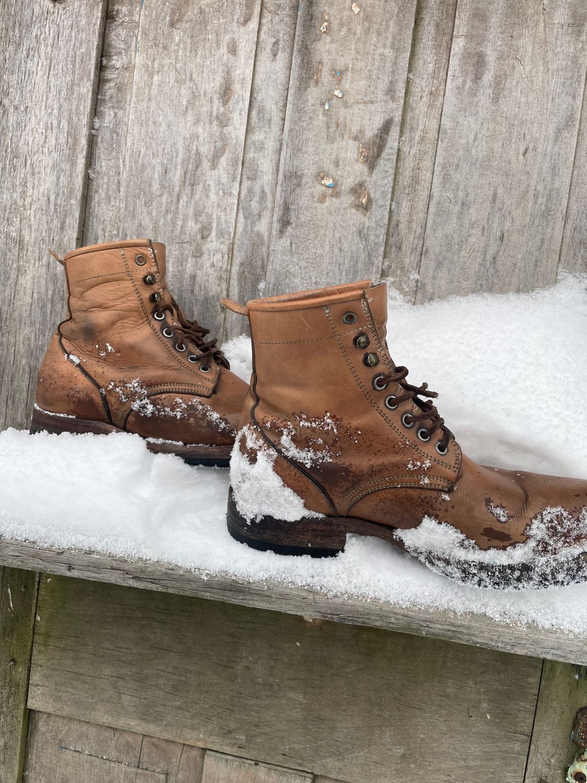 Photo by mrewest on February 2, 2026 of the Cordobes Type 1 Service Boot in Unknown Natural Veg Tan.