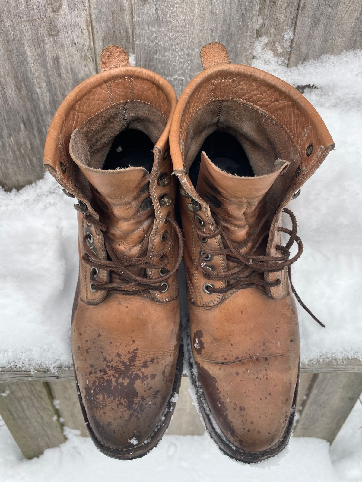 Photo by mrewest on February 2, 2026 of the Cordobes Type 1 Service Boot in Unknown Natural Veg Tan.