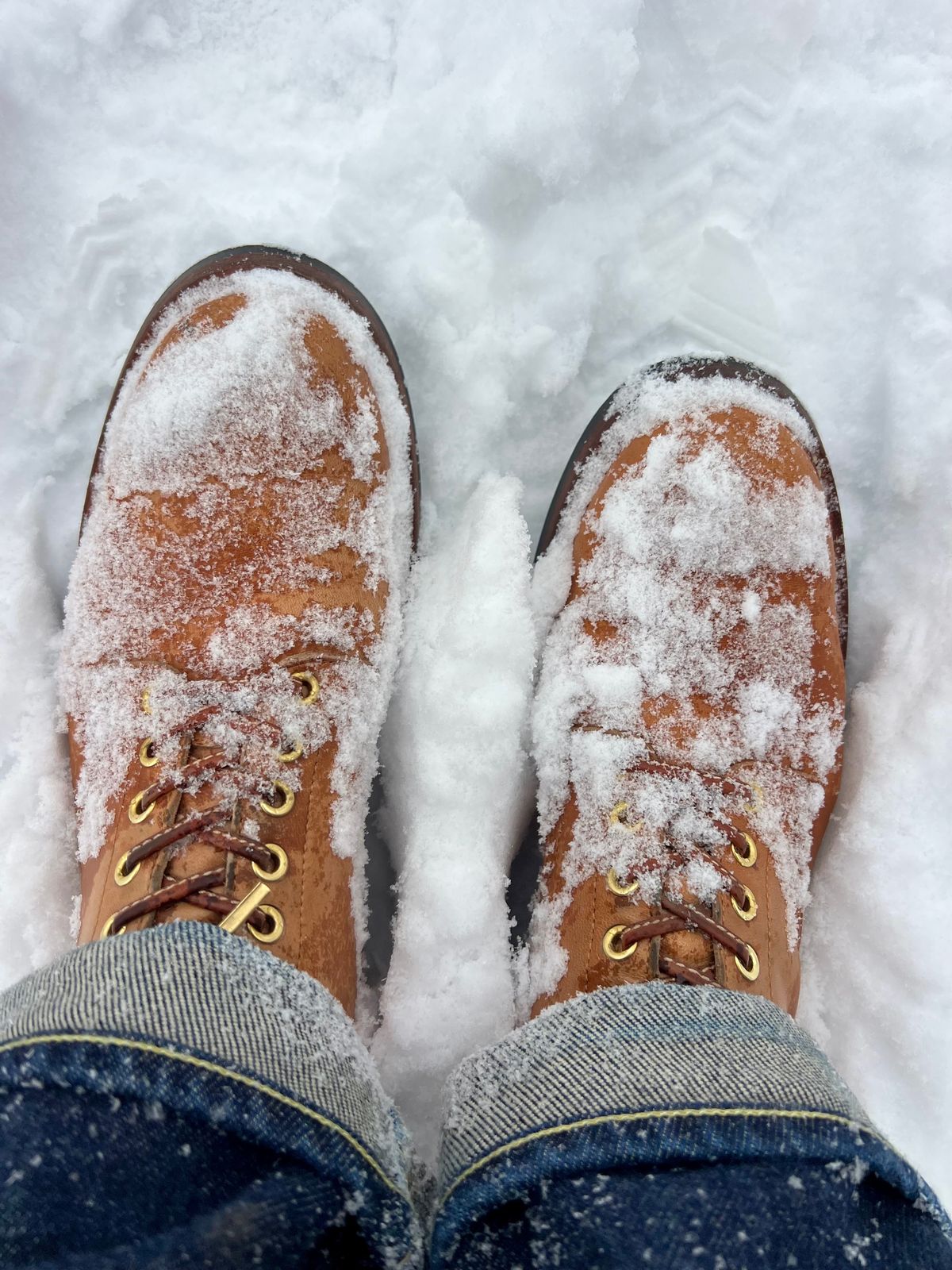 Photo by Tipples_and_drams on January 5, 2025 of the Y'2 Leather Work Boot in Kakishibu Horse (KS-02).
