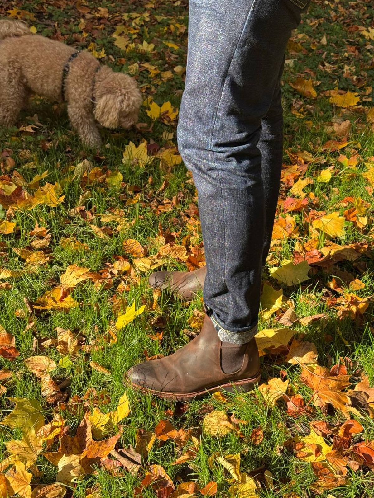 Photo by pampuh on October 22, 2025 of the Meermin Chelsea Boot in C.F. Stead Rust Waxy Commander Suede.