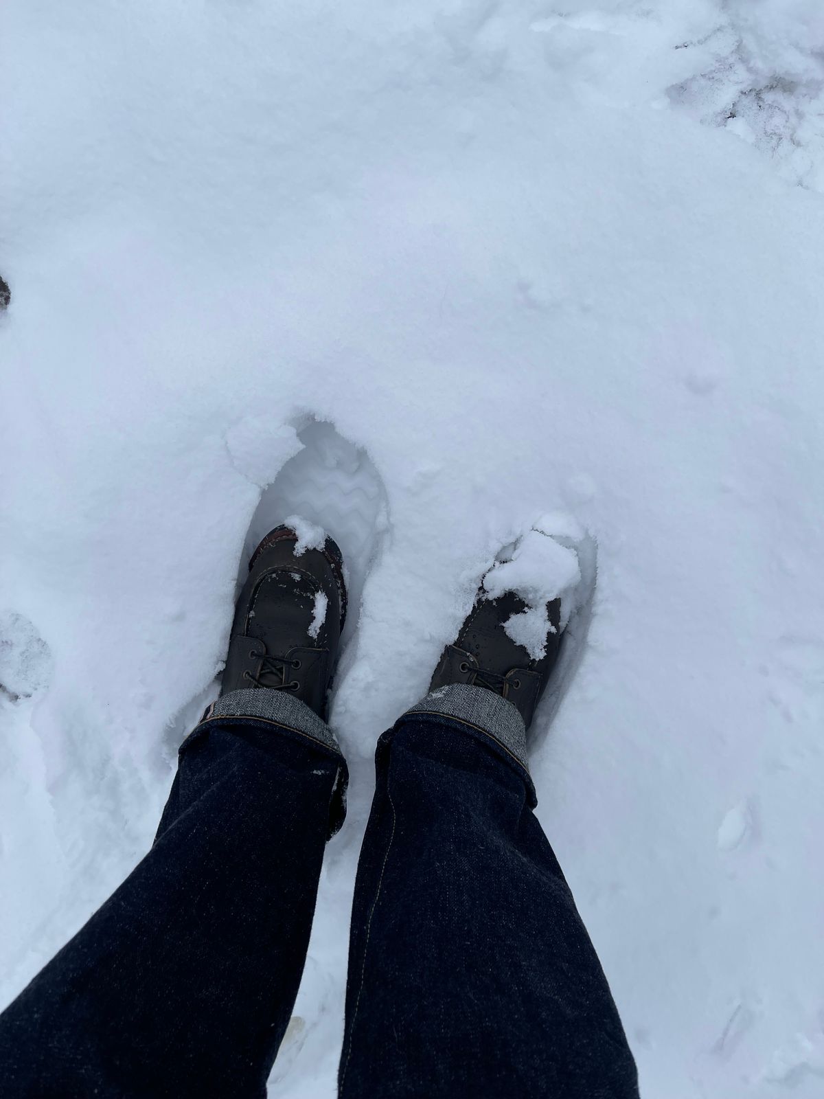 Photo by pampuh on November 22, 2025 of the Red Wing 6-Inch Classic Moc in S.B. Foot Alpine Portage.