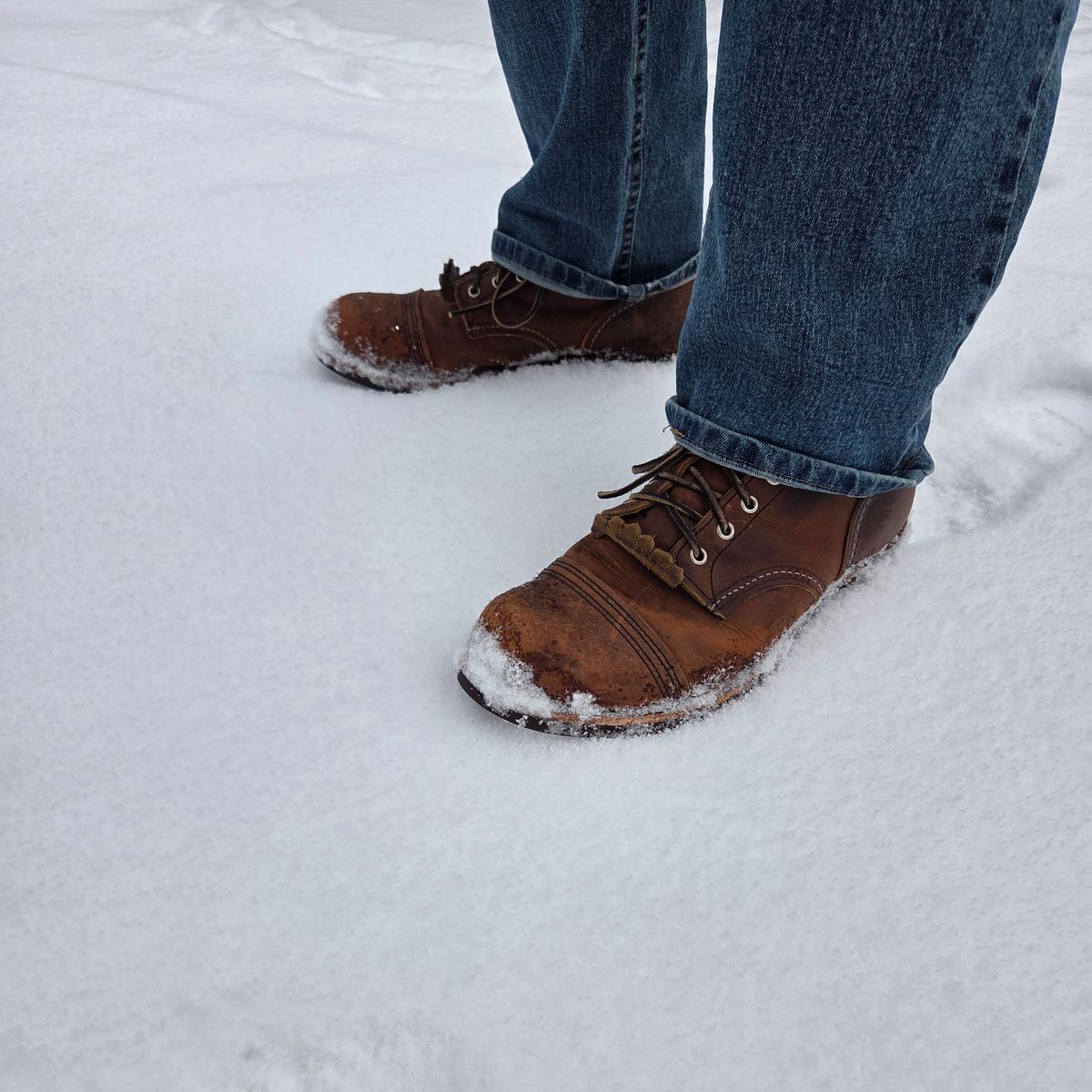 Photo by curtisheinze on February 2, 2026 of the Red Wing Iron Ranger in S.B. Foot Copper Rough and Tough & Horween Orange Predator.