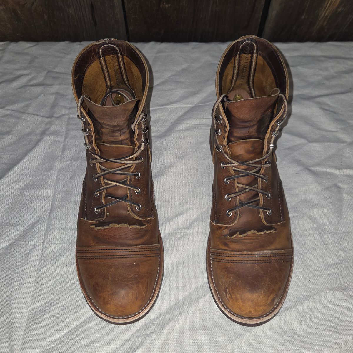 Photo by curtisheinze on February 5, 2026 of the Red Wing Iron Ranger in S.B. Foot Copper Rough and Tough & Horween Orange Predator.