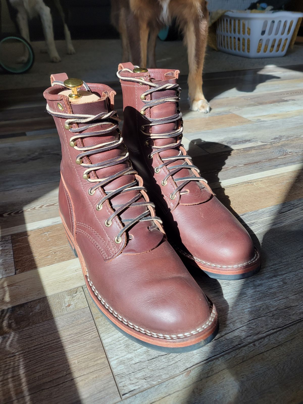 Photo by danjr92 on September 28, 2025 of the Nicks MTO in Horween Roanoke Timber.