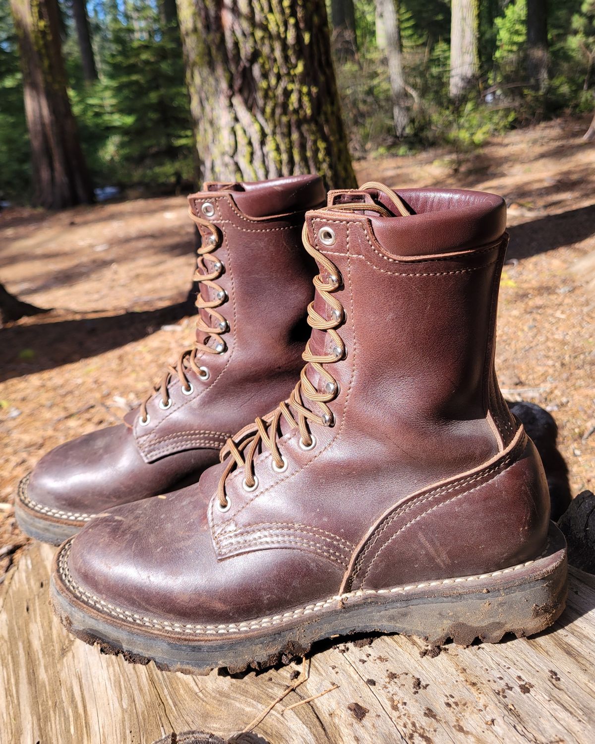 Photo by danjr92 on March 11, 2025 of the Nicks Ridgeline Hiking Boot in Seidel MaxSupport Walnut.