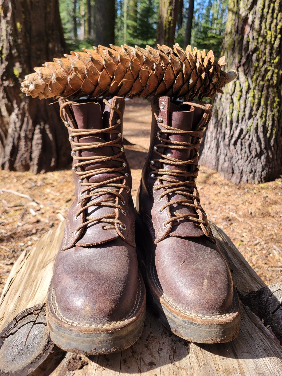 Photo by danjr92 on March 11, 2025 of the Nicks Ridgeline Hiking Boot in Seidel MaxSupport Walnut.